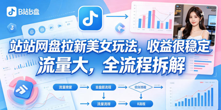 B站网盘拉新美女玩法，收益很稳定，流量大，全流程拆解-hl998