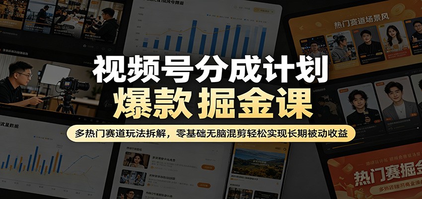 视频号分成计划爆款掘金课：多热门赛道玩法拆解，零基础无脑混剪轻松实现长期被动收益-hl998