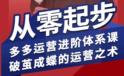 拼多多运营进阶系统课，从零起步，多多运营进阶体系课，破茧成蝶的运营之术(更新26年4月)-hl998