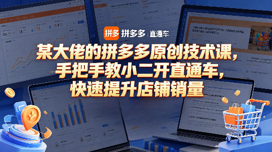 某大佬的拼多多原创技术课，手把手教小二开直通车，快速提升店铺销量-hl998