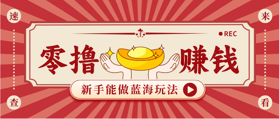 新手也能变现的蓝海玩法,一个人人能做的项目,需求量极大日入300+!-hl998