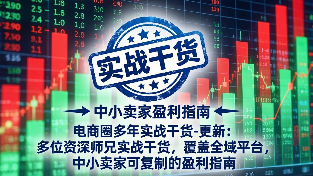 电商圈多年实战干货-更新4月27：多位资深师兄实战干货/覆盖全域平台，中小卖家可复制的盈利指南-hl998