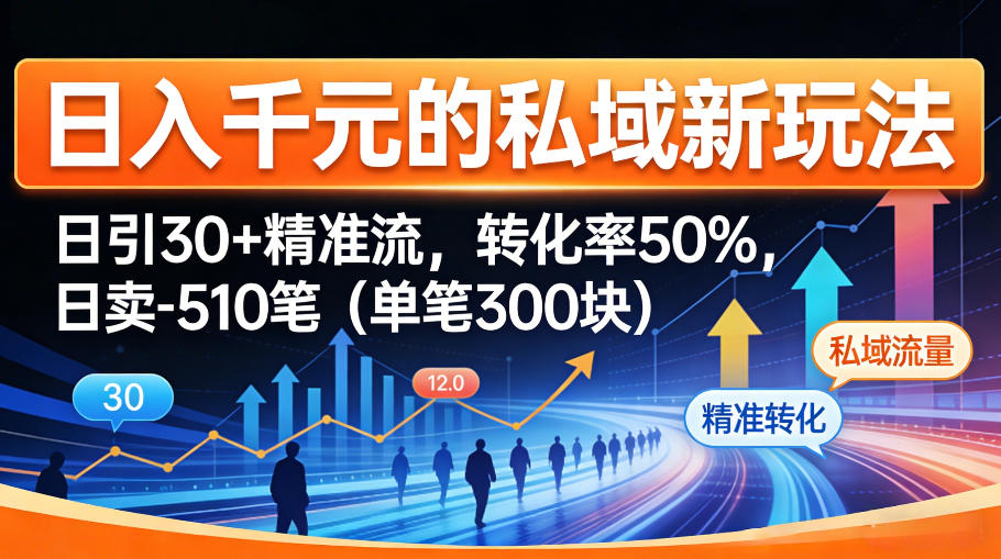 日入千米的私域新玩法：日引30＋精准流，转化率50%，日卖5-10笔(单笔300米)-hl998