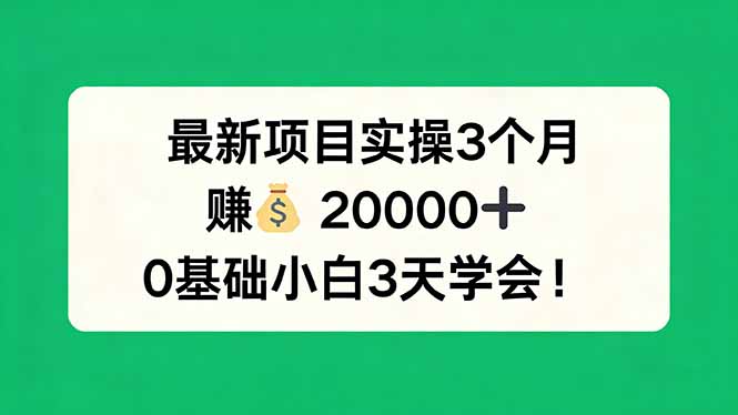 最新项目实操3个月，赚钱20000+，0基础小白3天学会！-hl998
