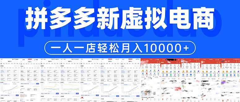 拼多多虚拟电商一人一店轻松月入10000+-hl998