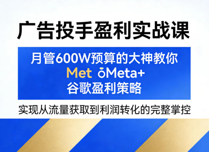 广告投手盈利实战课，月管600W预算的大神教你Meta+谷歌盈利策略，实现从流量获取到利润转化的完整掌控-hl998