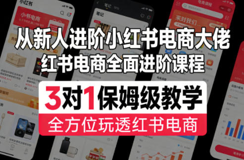 从新人进阶小红书电商大佬，红书电商全面进阶课程，3对1保姆级教学，全方位玩透红书电商-hl998