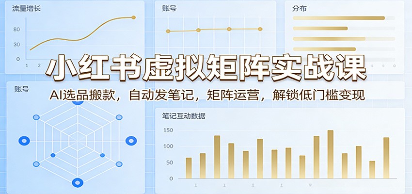 小红书虚拟矩阵实战课：AI选品搬款，自动发笔记，矩阵运营，解锁低门槛变现-hl998