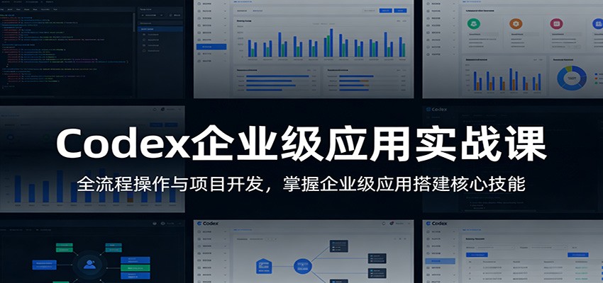 Codex企业级应用实战课：全流程操作与项目开发，掌握企业级应用搭建核心技能-hl998
