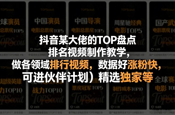 抖音某大佬的TOP盘点排名视频制作，做各领域排行视频，数据好涨粉快，可进伙伴计划＋精选独家等-hl998