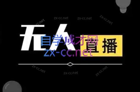 宝子哥·无人直播-非实时防风技术(更新3月)-hl998