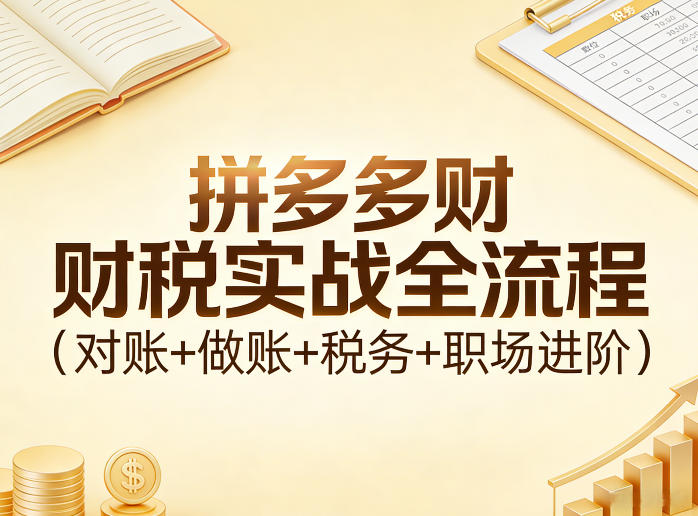 拼多多财税实战全流程(对账+做账+税务+职场进阶)-hl998