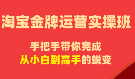 飓风电商·淘宝金牌运营实操班-hl998