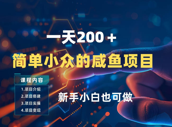 一天收入2张，一个简单小众的咸鱼项目，0门槛小白也能做-hl998