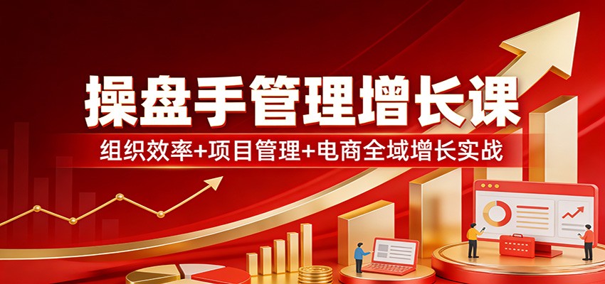 操盘手管理增长课：组织效率+项目管理+电商全域增长实战-hl998