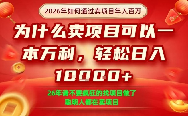 一单净利润1K+，26年想年入100个W，死磕卖项目就够了【揭秘】-hl998