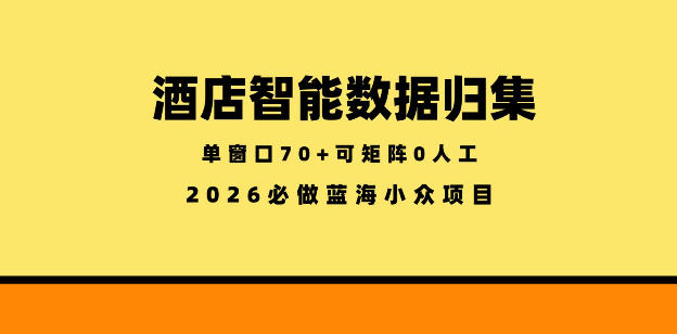 酒店智能数据归集，小众蓝海已经稳定半年之久，单窗口70+零成本矩阵开干【揭秘】-hl998