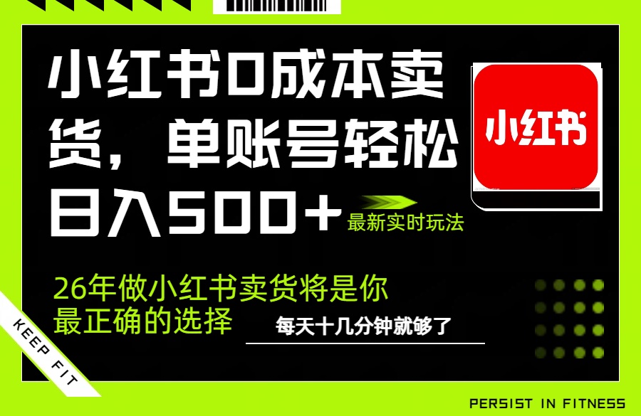 小红书0成本AI卖货，单账号轻松日入500+，完全托管AI，可矩阵放大-hl998