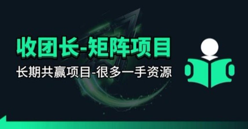 【团长合作】视频矩阵项目_招发手矩阵+剪辑师，共赢项目【揭秘】-hl998