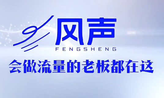 董十一·风声短视频AI获客年度会员-hl998