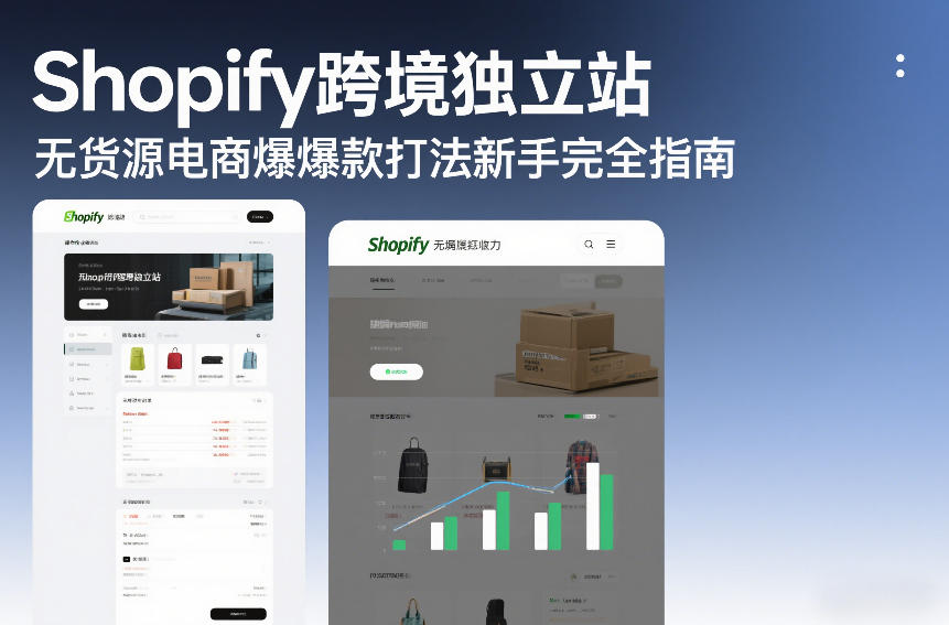 Shopify跨境独立站无货源电商爆款打法新手完全指南-hl998