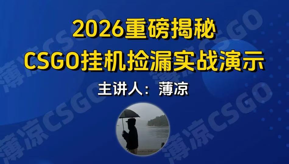 CSGO游戏挂机游戏搬砖最新升级，普通小白一部手机可日入300+当天见结果，支持验证-hl998