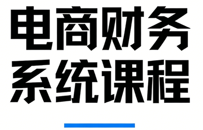 郑老师·电商财务系统课程-hl998