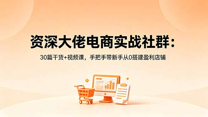 资深大佬电商实战社群：30篇干货+视频课，手把手带新手从0搭建盈利店铺-hl998