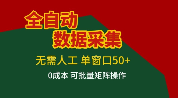 全自动数据采集项目，无需人工，单窗口可达50+收益，操作简单无难度，一个人也能轻松实现矩阵【揭秘】-hl998