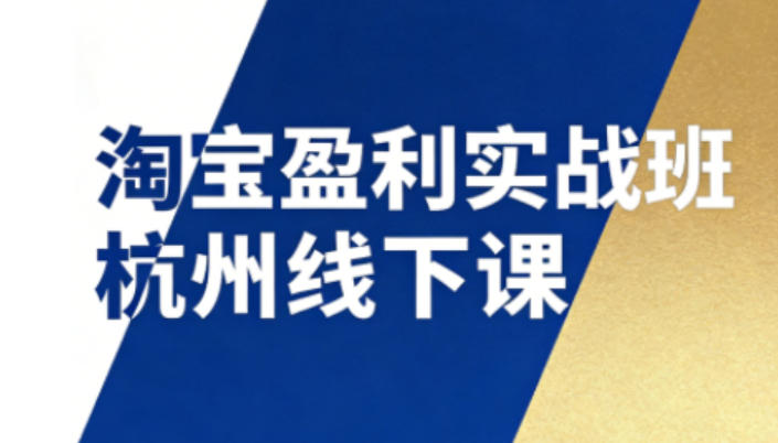 淘宝盈利实战班杭州线下课12月26-28日(音频+字幕)，帮你掌握SOP流程+12门核心技术-hl998