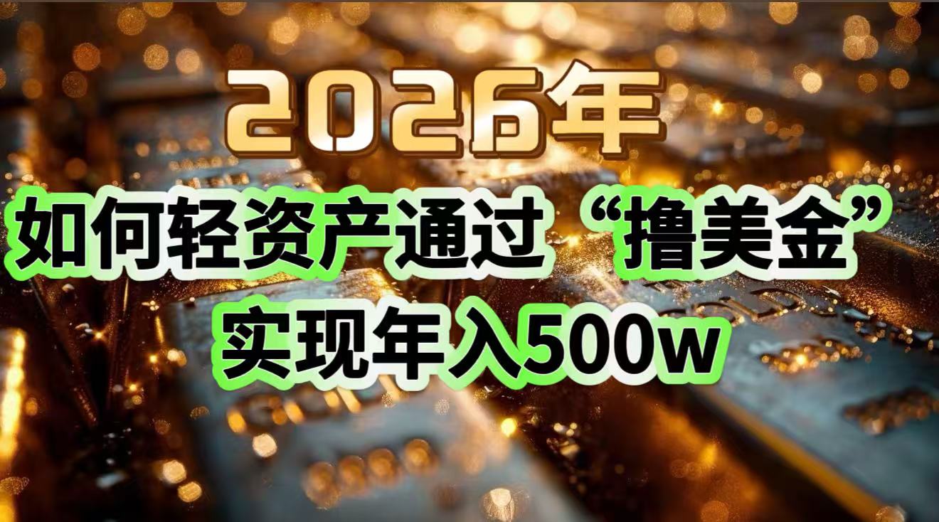 2026年如何轻资产通过“撸美金”实现年入500w-hl998