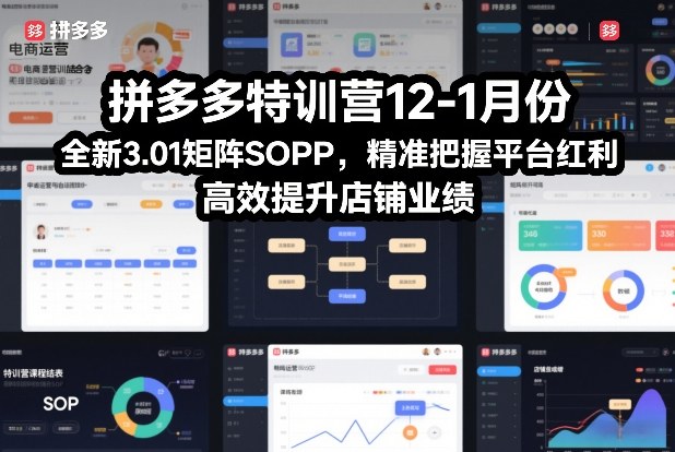 拼多多特训营12-1月份，全新3.01矩阵Sop，精准把握平台红利，高效提升店铺业绩-hl998
