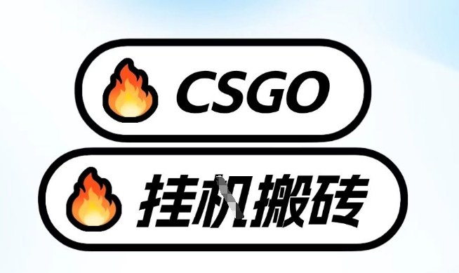 真全网独家CSGO挂G，最新玩法,单日捡漏1K+，不用电脑，不用打游戏【揭秘】-hl998