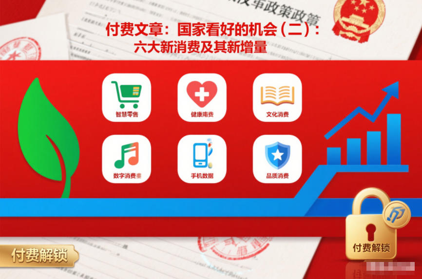 付费文章：国家看好的机会(二)：六大新消费及其新增量-hl998