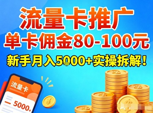 流量卡推广，单卡佣金80-100，新手月入5k+实操拆解！-hl998