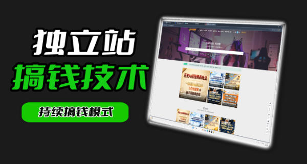 干货来袭！麦子甜带你吃透独立站｜从搭建到引流一站式教学《独立站》第一期-hl998