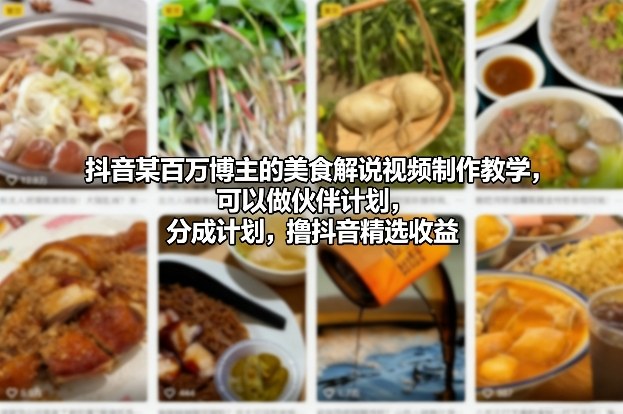 抖音某百万博主的美食解说视频制作教学，可以做伙伴计划，分成计划，撸抖音精选收益-hl998