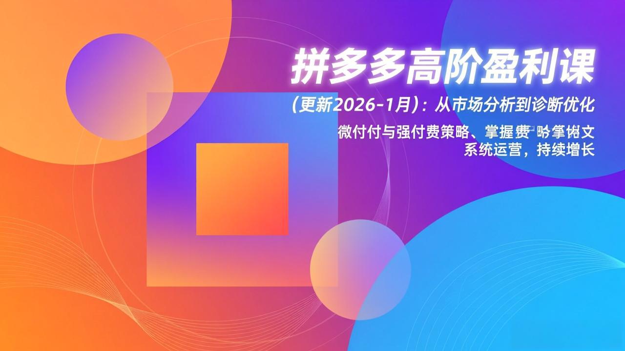 拼多多高阶盈利课(更新2026-1月-hl998