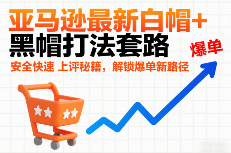 亚马逊最新白帽+黑帽打法套路，安全快速上评秘籍，解锁爆单新路径-hl998