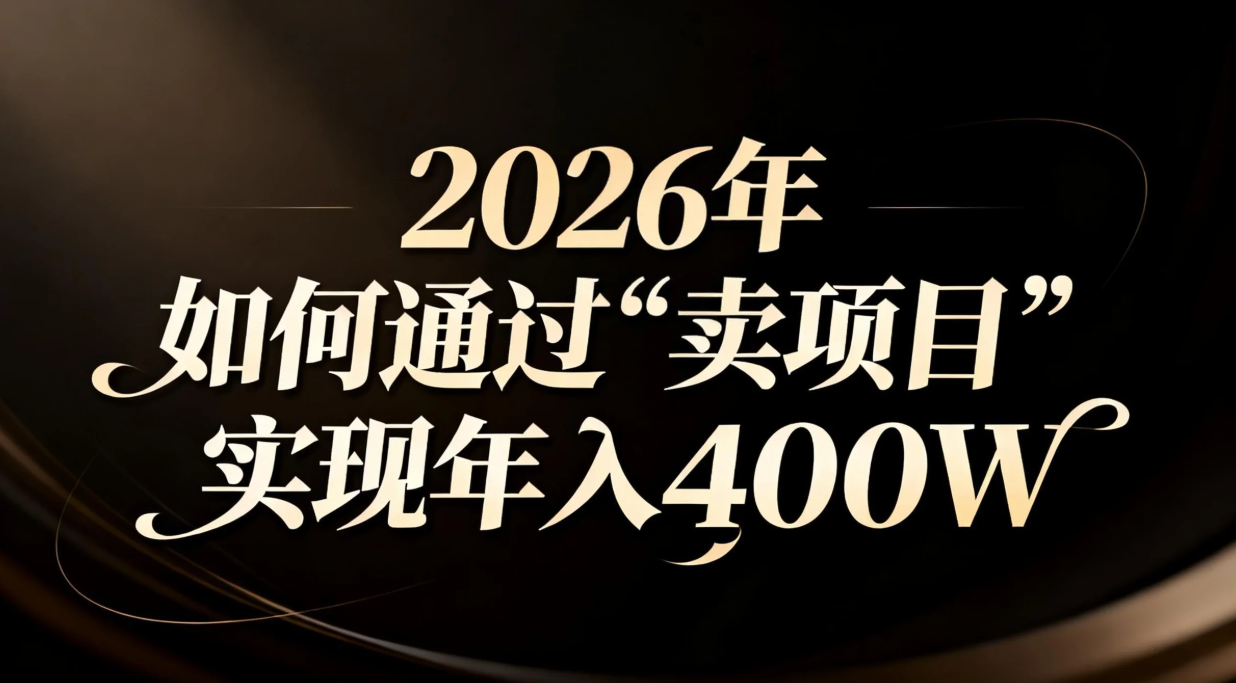 2026年如何通过“卖项目”实现年入百万-hl998