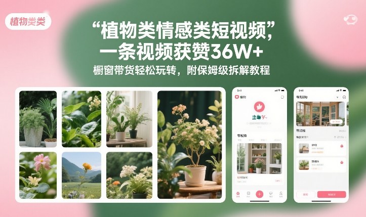植物类情感类短视频，一条视频获赞36W+，橱窗带货轻松玩转，附保姆级拆解教程-hl998