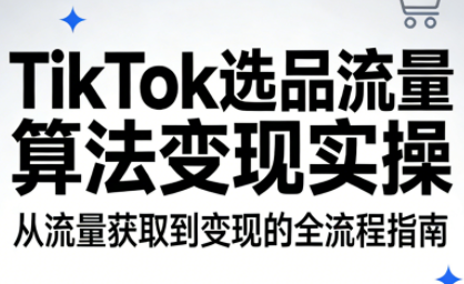 TikTok选品流量算法变现实操-hl998