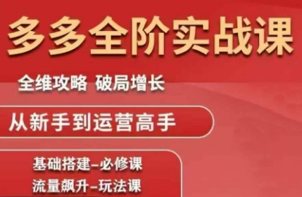 大炮·拼多多全阶实战课程(更新2026)-hl998