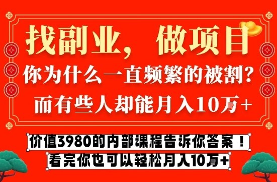 价值3980的网创内部课程，告诉你互联网创业月入10个W的秘密【揭秘】-hl998