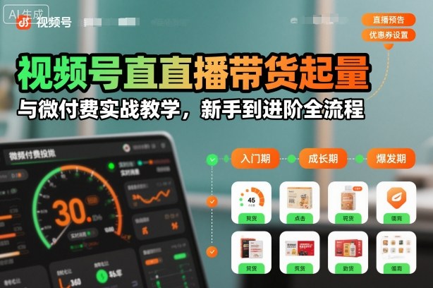 视频号直播带货起量与微付费实战教学，新手到进阶全流程-hl998