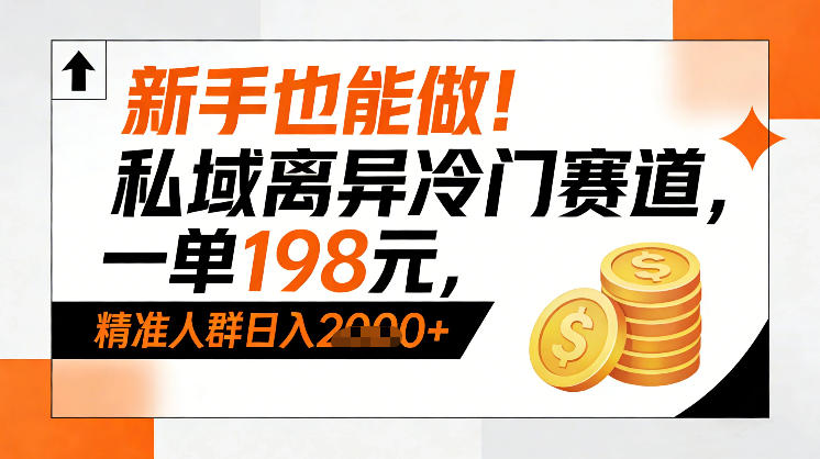 新手也能做！私域离异冷门赛道，一单198，精准人群日入1k+-hl998