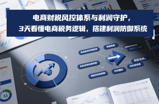 电商财税风控体系与利润守护，3天看懂电商税务逻辑，搭建利润防御系统-hl998