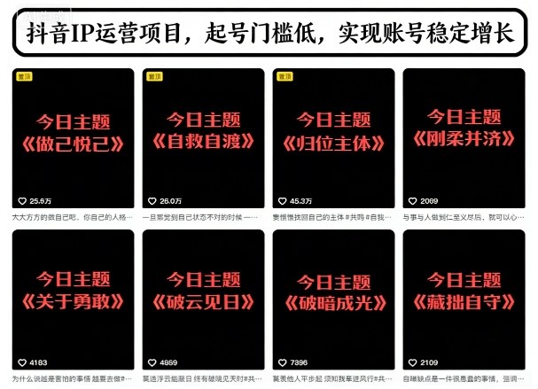 抖音IP运营项目，抖音今日主题玩法，起号门槛低，实现账号稳定增长-hl998