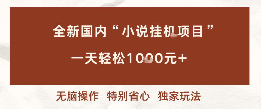 全新国内小说挂G项目，多窗口无脑跑，一天轻松1k+，特别省心【揭秘】-hl998