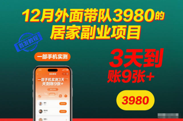 12月外面带队3980的居家副业项目，一部手机实测3天到账9张+，首发教程【揭秘】-hl998